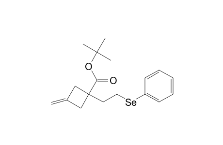 Cyclobutanecarboxylic acid, 3-methylene-1-[2-(phenylseleno)ethyl]-, 1,1-dimethylethyl ester