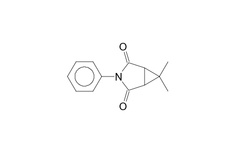 6,6-Dimethyl-3-phenyl-3-azabicyclo[3.1.0]hexane-2,4-dione