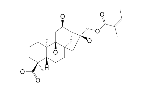 ENT-17-ANGELYLOXY-9-ALPHA,12-ALPHA,16-ALPHA-TRIHYDROXYKAURAN-18-OIC-ACID