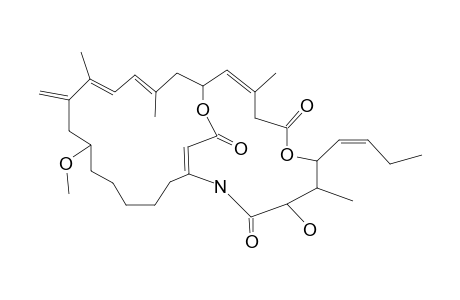 AMPHILACTAM-A