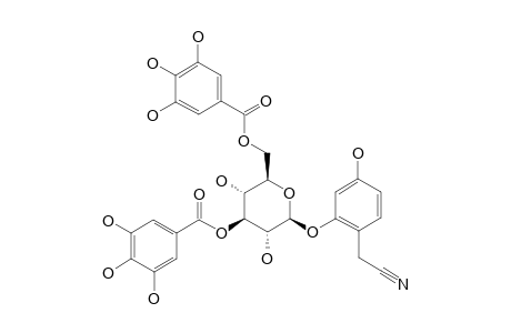 2-(2,4-DIHYDROXYPHENYL)-ACETONITRILE-2-O-BETA-D-GLUCOPYRANOSIDE-3',6'-O-DIGALLATE