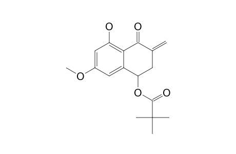 2,2-DIMETHYL-PROPIONIC-ACID-5-HYDROXY-7-METHOXY-3-METHYLENE-4-OXO-1,2,3,4-TETRAHYDRONAPTHALEN-1-YLESTER