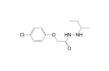 Acetic acid, (4-chlorophenoxy)-, 2-butylhydrazide