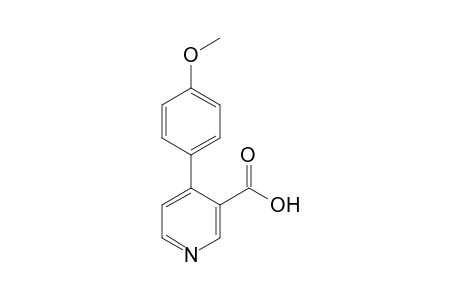 4-(4'-Methoxyphenyl)-3-nicotinic acid