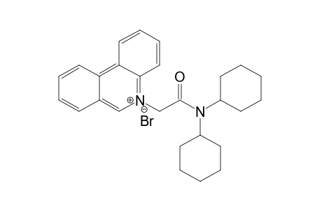 5-[(N,N-Dicyclohexylcarbamoyl)methyl]phenanthridinium bromide