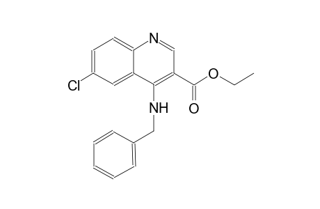 3-quinolinecarboxylic acid, 6-chloro-4-[(phenylmethyl)amino]-, ethyl ester