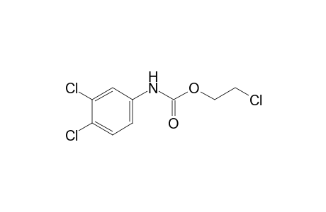 3,4-dichlorocarbanilic acid, 2-chloroethyl ester