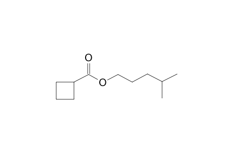 4-Methylpentyl cyclobutanecarboxylate