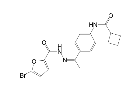 N-{4-[(1Z)-N-(5-bromo-2-furoyl)ethanehydrazonoyl]phenyl}cyclobutanecarboxamide