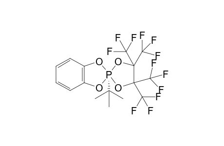 2-tert-Butyl-4',4',5',5'-tetrakis(trifluoromethyl)spiro[1,3,2lambda5-benzodioxaphosphole-2,2'-1,3-dioxa-2lambda5-phosphacyclopentane]