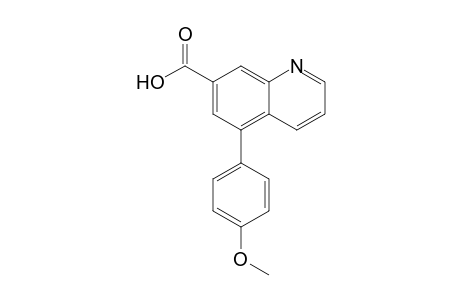 5-(4-Methoxyphenyl)quinonline-7-carboxylic acid