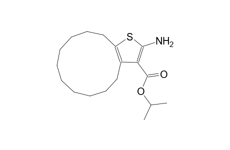 isopropyl 2-amino-4,5,6,7,8,9,10,11,12,13-decahydrocyclododeca[b]thiophene-3-carboxylate