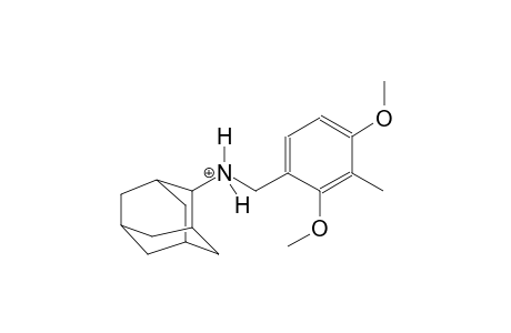 N-(2,4-dimethoxy-3-methylbenzyl)-2-adamantanaminium