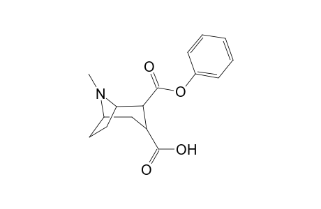 2-Phenoxycabonyl-8(N)-methyl-8-azabicyclo[3.2.1]octane-3-carboxylic acid