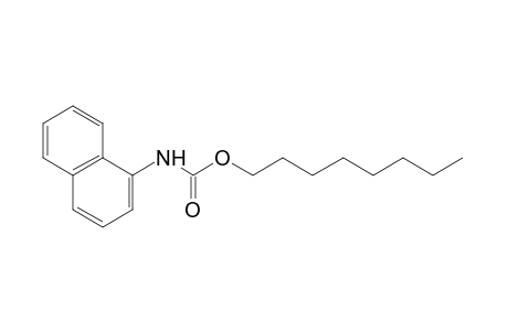 1-naphthalenecarbamic acid, octyl ester