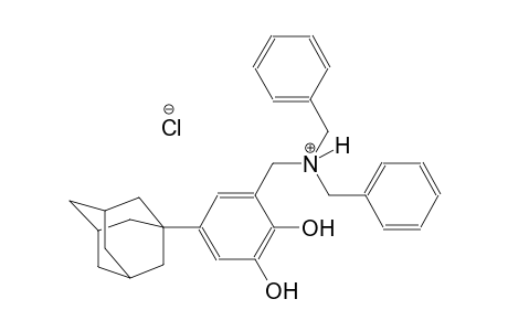 [5-(1-adamantyl)-2,3-dihydroxyphenyl]-N,N-dibenzylmethanaminium chloride