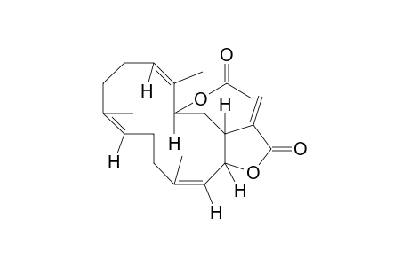 (1S,2S,3E,7E,11E,13S)-13-Acetoxycembra-3,7,11,15-tetraen-17,2-olide