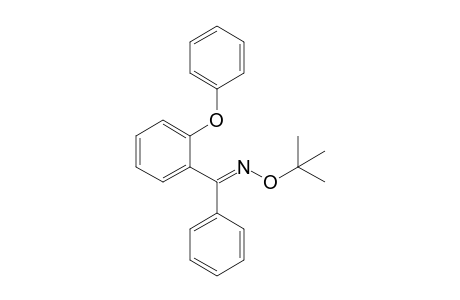 (E)-tert-butoxy-[(2-phenoxyphenyl)-phenyl-methylene]amine