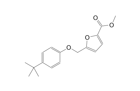 methyl 5-[(4-tert-butylphenoxy)methyl]-2-furoate