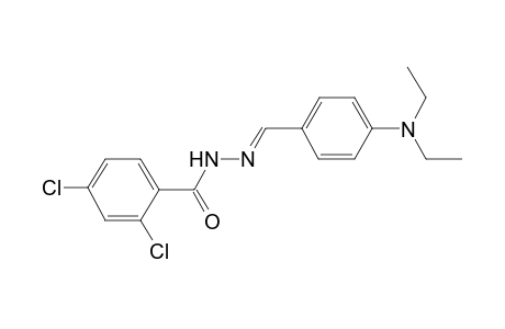 2,4-bis(chloranyl)-N-[(E)-[4-(diethylamino)phenyl]methylideneamino]benzamide