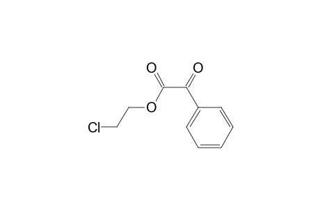 2-Chloroethyl 2-oxidanylidene-2-phenyl-ethanoate