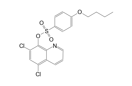 benzenesulfonic acid, 4-butoxy-, 5,7-dichloro-8-quinolinyl ester
