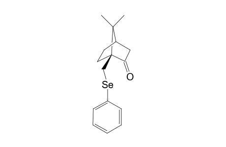 10-(Phenylselanyl)camphor