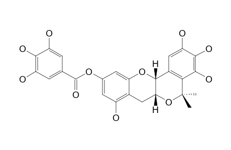 (2R,3R)-7-O-GALLOYLPLUMBOCATECHIN-A