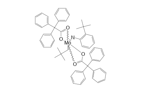 MO-(N-2-TERT.-BUTYL-C6H4)-(CHCME3)(O2CPH3)(2)
