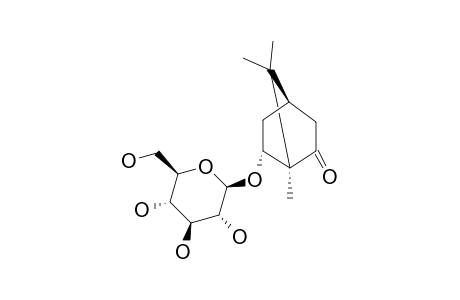 (1R,4S,6S)-6-HYDROXYCAMPHOR-BETA-D-GLUCOPYRANOSIDE