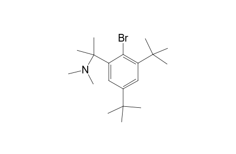 2-Bromo-1,5-di(t-butyl)-3-[1'-9 dimethylamino)-1'-(methylethyl) ]benzene
