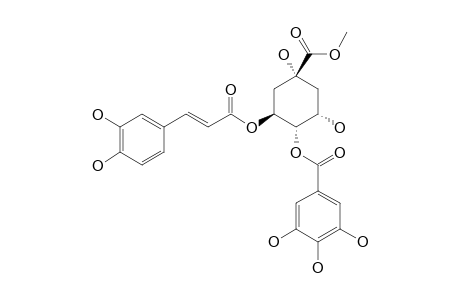 METHYL-4-O-GALLOYLCHLOROGENATE