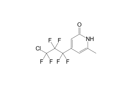 4-(3-Chloro-1,1,2,2,3,3-hexafluoro-propyl)-6-methyl-1H-pyridin-2-one