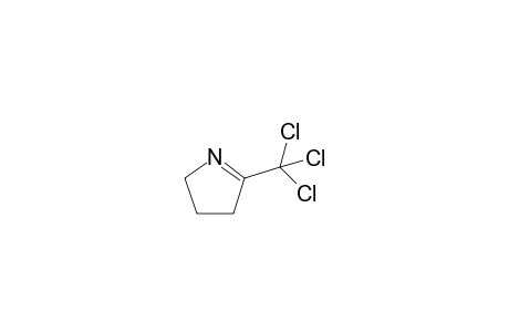 2-(Trichloromethyl)-1-pyrroline