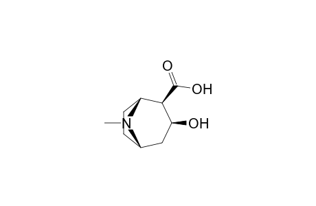 Ecgonine