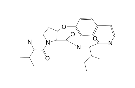 LOTUSINE-G