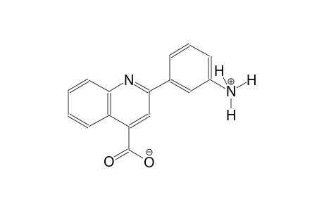 2-(3-ammoniophenyl)-4-quinolinecarboxylate