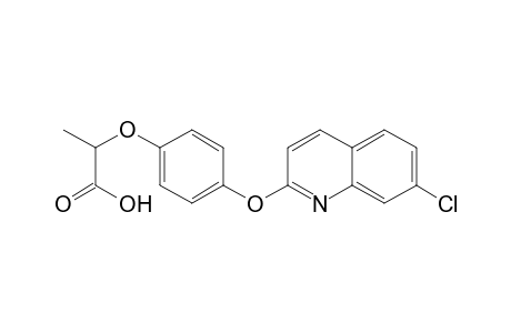 2-[4-[(7-Chloro-2-quinolinyl)oxy]phenoxy]propionic acid