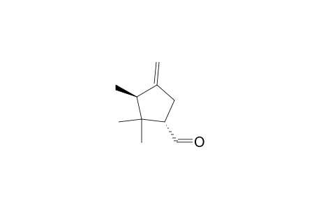 Cyclopentanecarboxaldehyde, 2,2,3-trimethyl-4-methylene-, (1S-cis)-