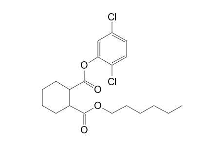 1,2-Cyclohexanedicarboxylic acid, 2,5-dichlorophenyl hexyl ester