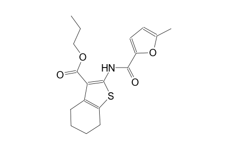 propyl 2-[(5-methyl-2-furoyl)amino]-4,5,6,7-tetrahydro-1-benzothiophene-3-carboxylate