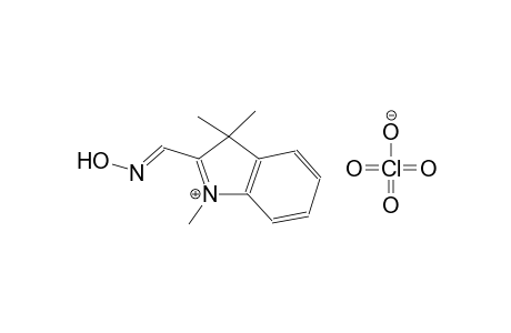 2-[(E)-(hydroxyimino)methyl]-1,3,3-trimethyl-3H-indolium perchlorate
