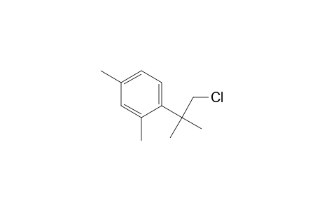 1-(1-Chloranyl-2-methyl-propan-2-yl)-2,4-dimethyl-benzene