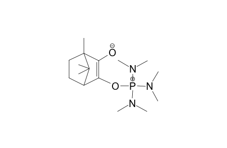 4,7,7-TRIMETHYL-3-TRIS-(DIMETHYLAMINO)-PHOSPHONIOOXY-BICYCLO-[2.2.1]-HEPT-2-EN-2-OLATE