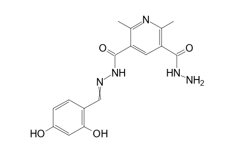 N'3-[(2,4-Dihydroxyphenyl)methylidene]-2,6-dimethyl-3,5-pyridinedicarboxhydrazide