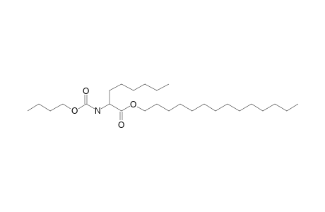 2-Aminocaprylic acid, N-butoxycarbonyl-, tetradecyl ester