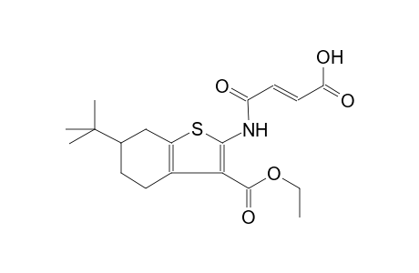 (2E)-4-{[6-tert-butyl-3-(ethoxycarbonyl)-4,5,6,7-tetrahydro-1-benzothien-2-yl]amino}-4-oxo-2-butenoic acid