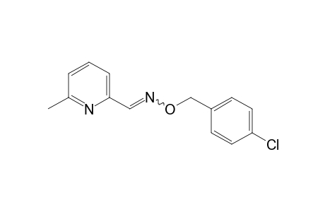 6-methypicolinaldehyde, O-(p-chlorobenzyl)oxime