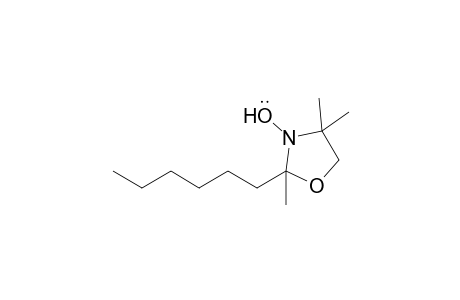 2-Hexyl-2,4,4-trimethyloxazolidine-N-oxyl