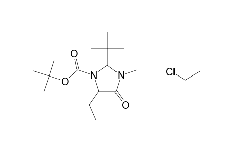 2-tert-BUTYL-5-(2-CHLOROETHYL)-5-ETHYL-3-METHYL-4-OXOIMIDAZOLIDINE-1-CARBOXYLIC ACID, tert-BUTYL ESTER
